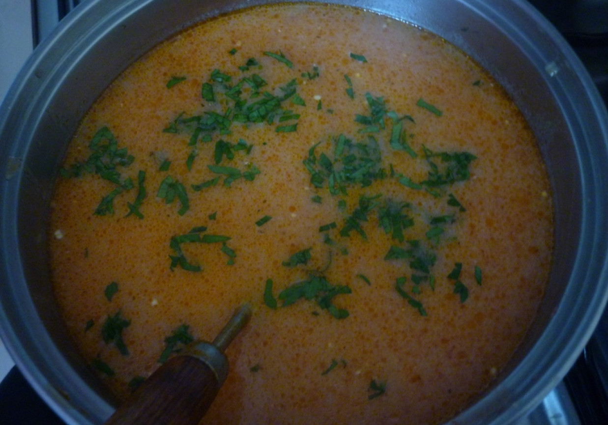 Zupa pomidorowa ze śmietaną foto