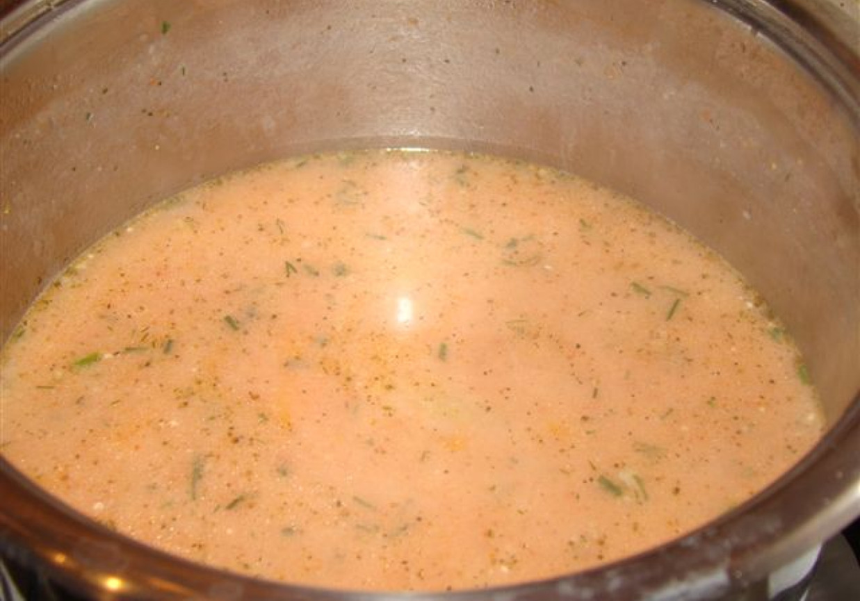 Zupa pomidorowa foto