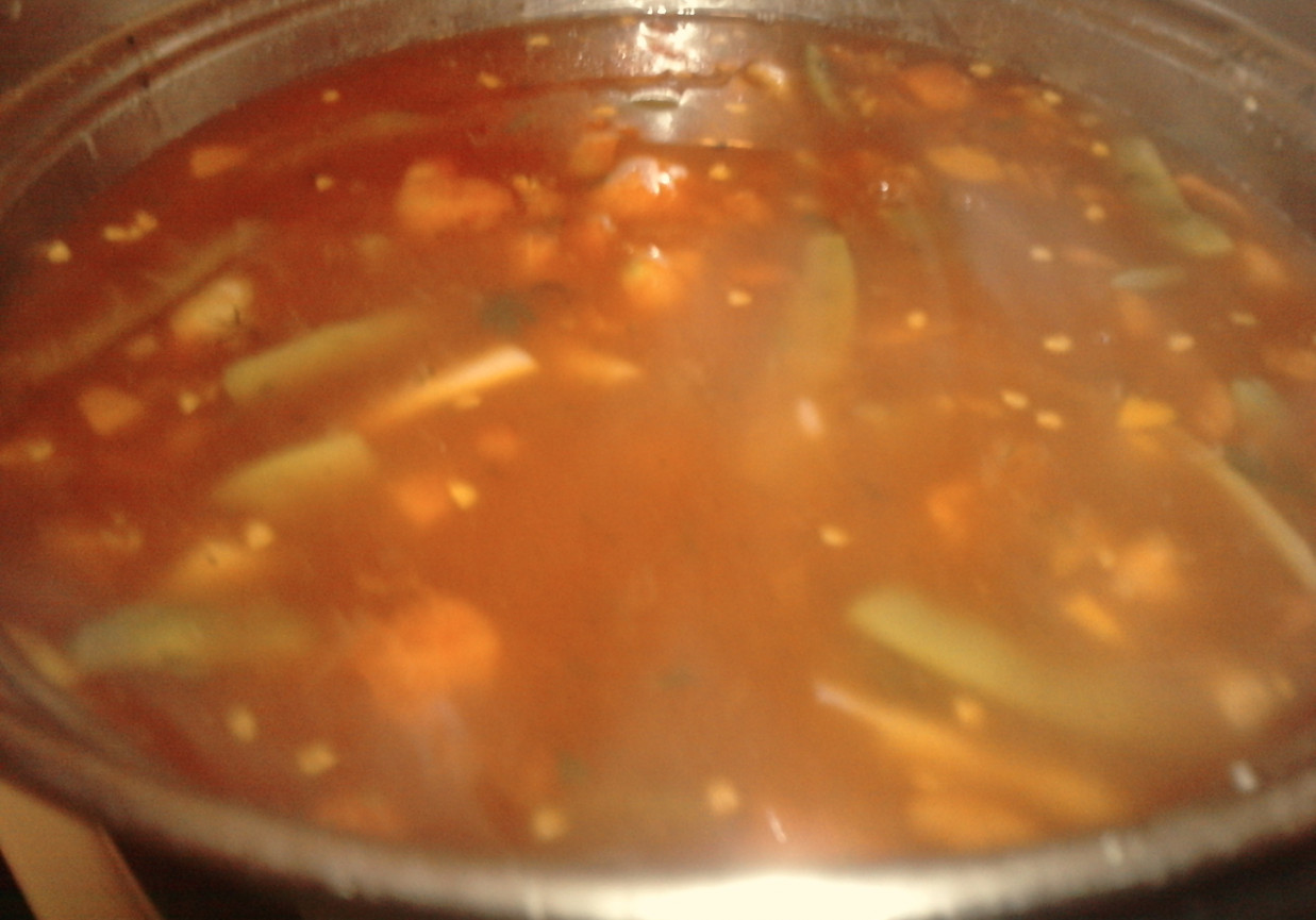 Zupa pomidorowo-fasolkowa foto