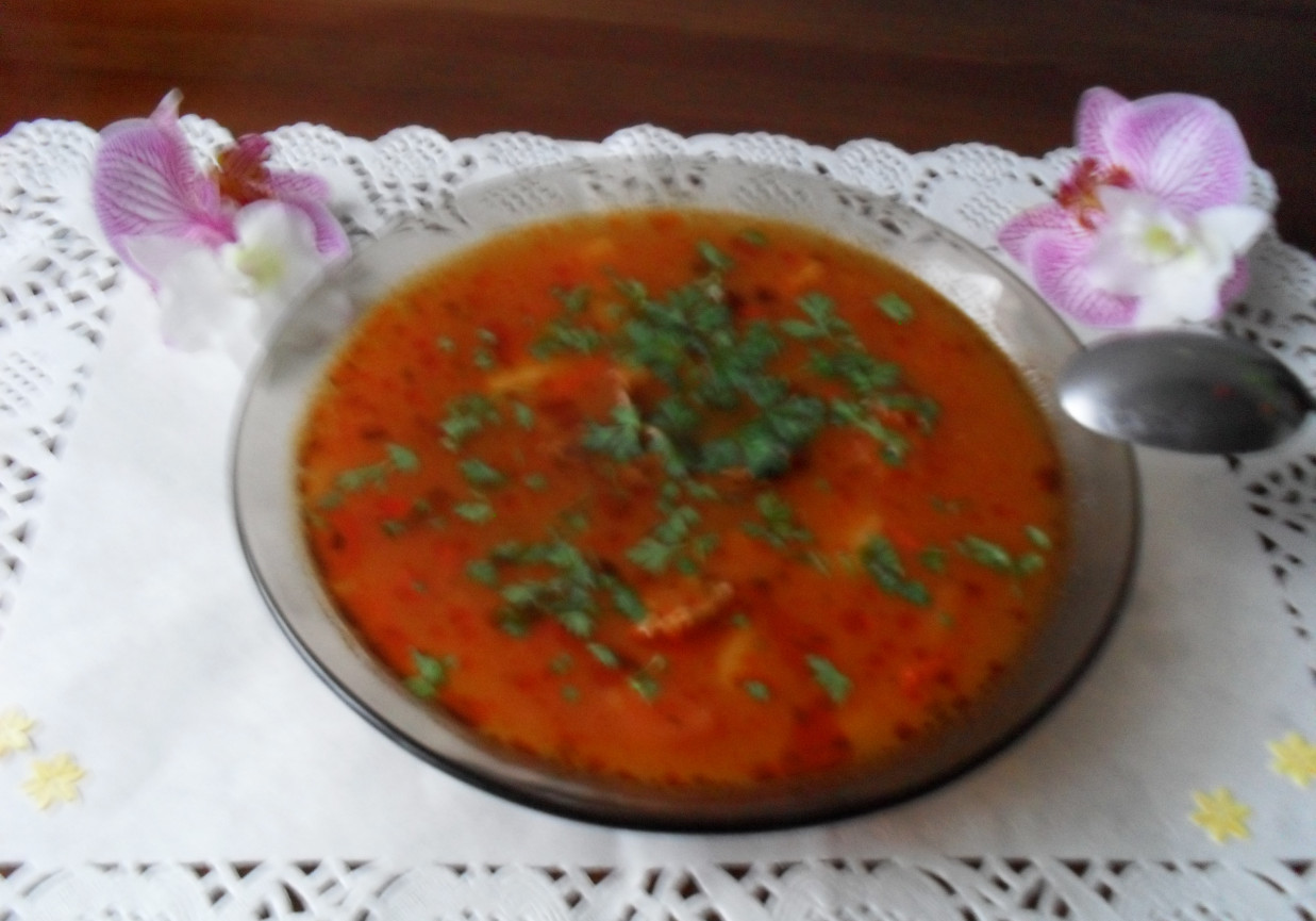 Zupa pomidorowo-paprykowa foto
