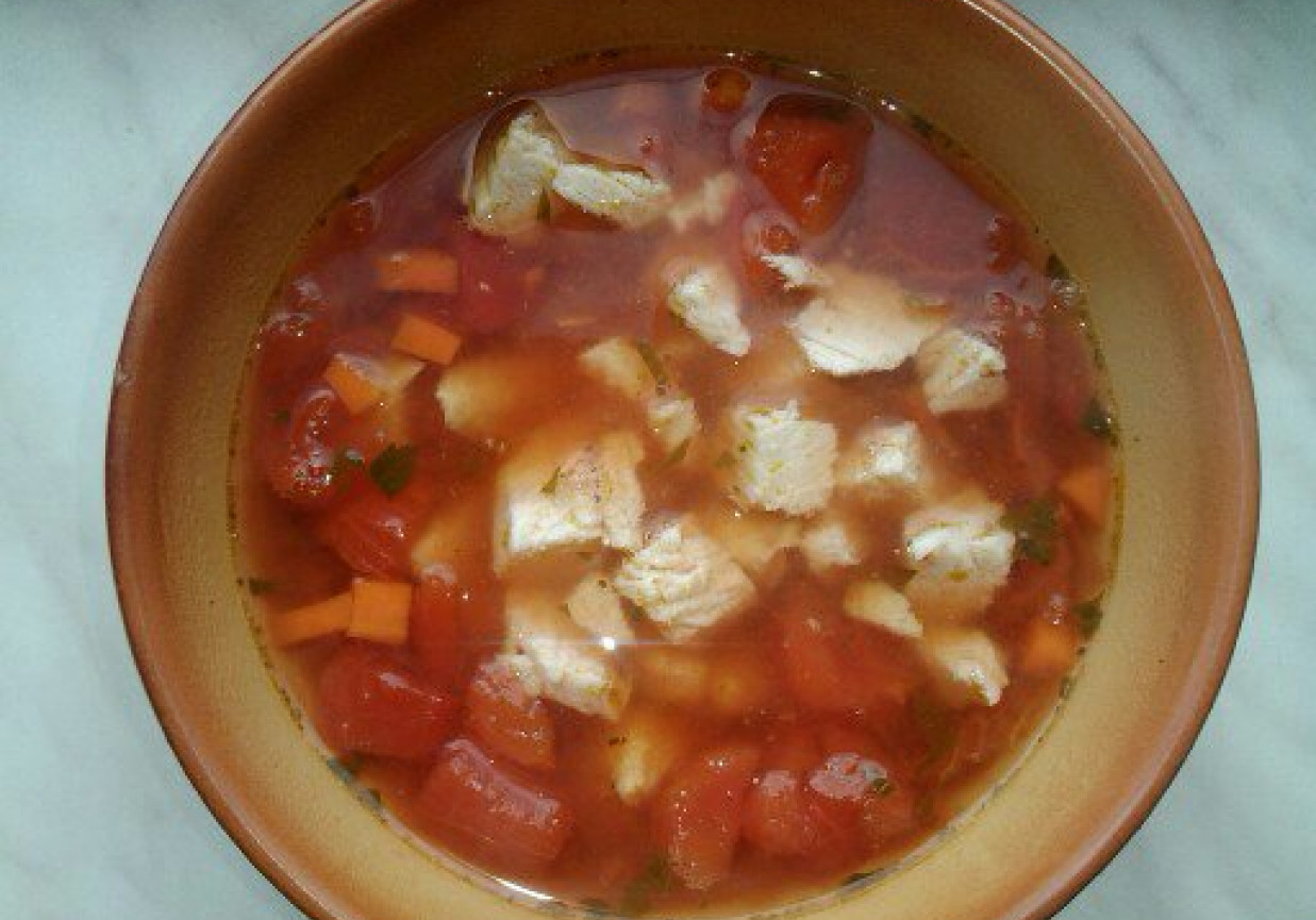 Zupa pomidorwa na indyku foto
