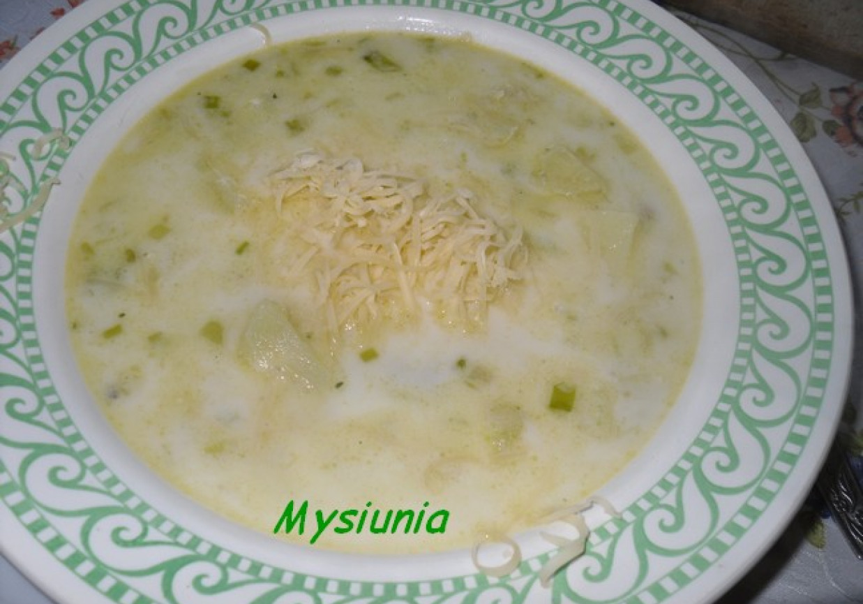 zupa porowa z serem foto
