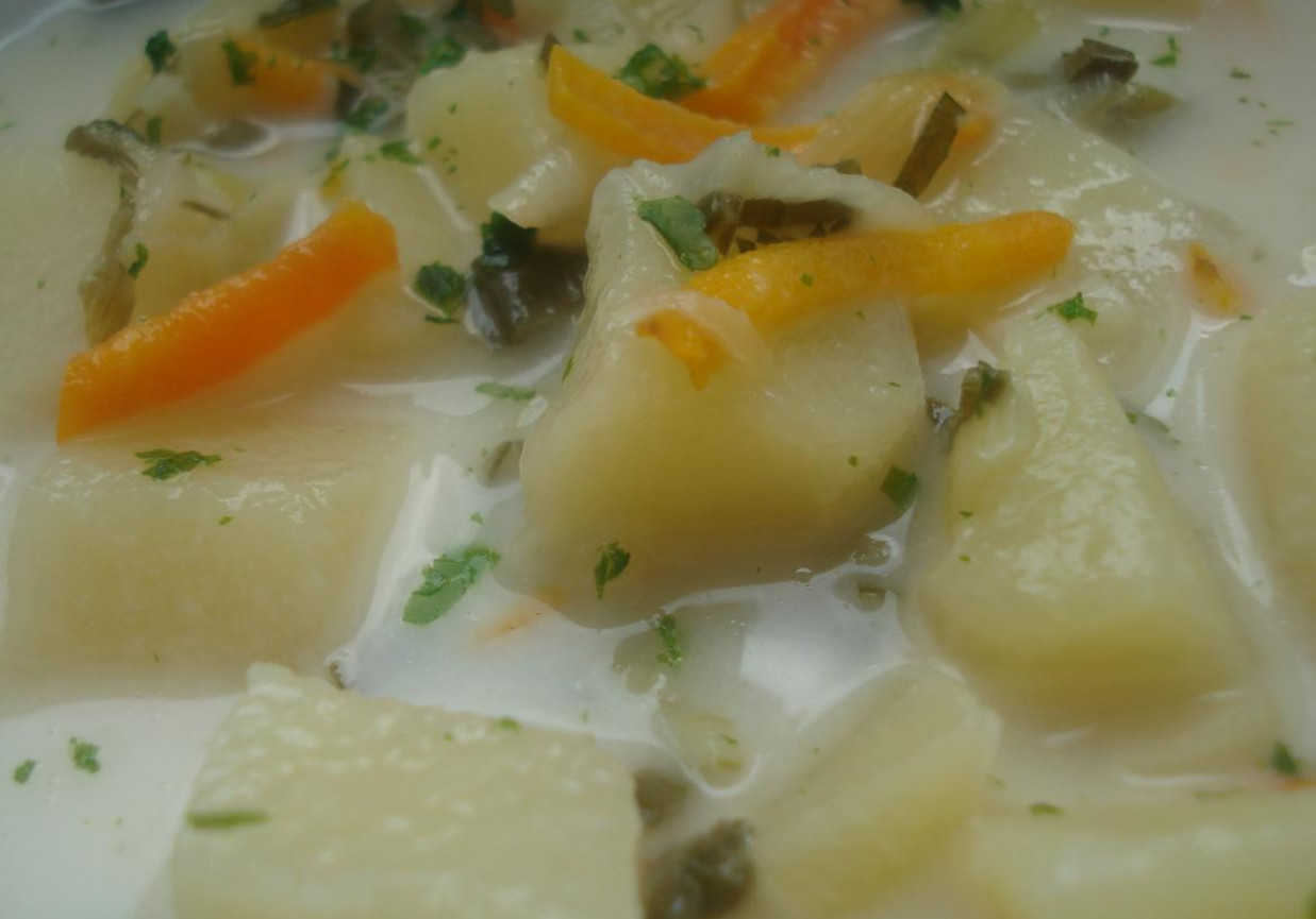 Zupa porowa z ziemniakami foto