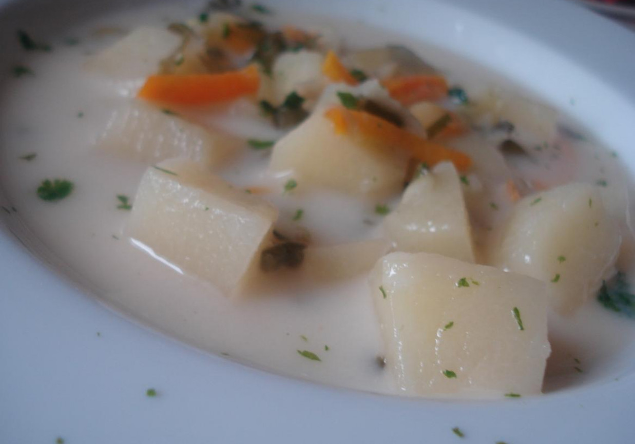 Zupa porowa z ziemniakami foto