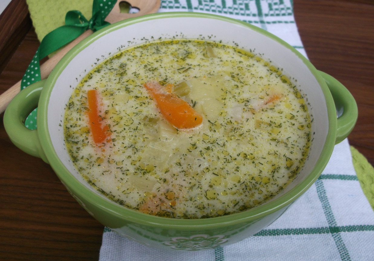 Zupa porowo-koperkowa. foto
