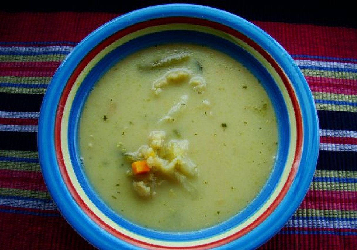 Zupa porowo-kalafiorowa foto
