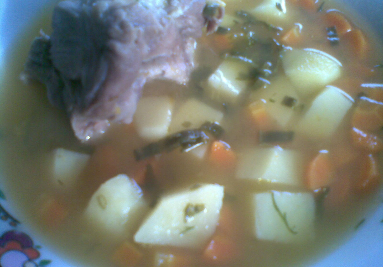 zupa porowo-marchewkowa foto