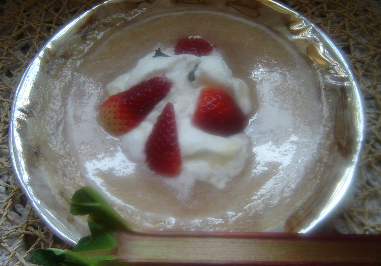 Zupa rabarbarowo- truskawkowa foto