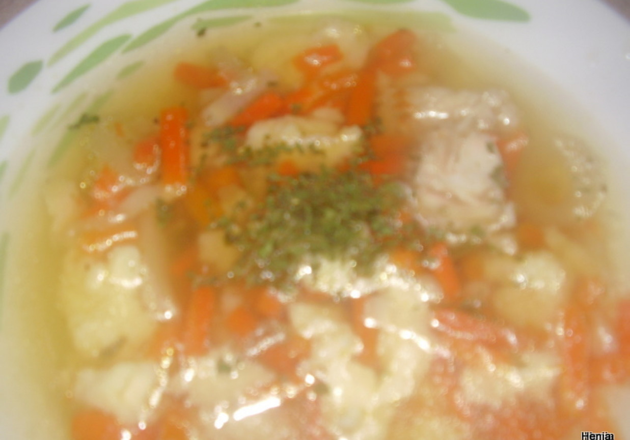 Zupa rybna z lanymi kluseczkami foto