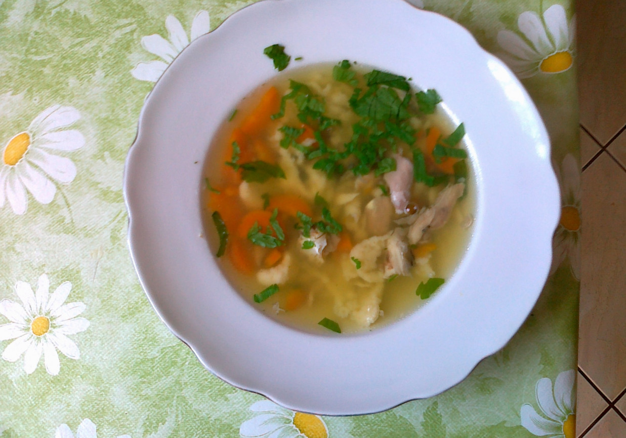 zupa rybna z lanymi kluskami foto