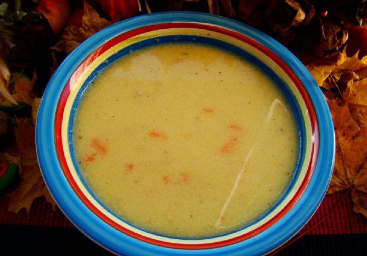 Zupa rybna z pstrąga z kaszka kukurydzianą foto