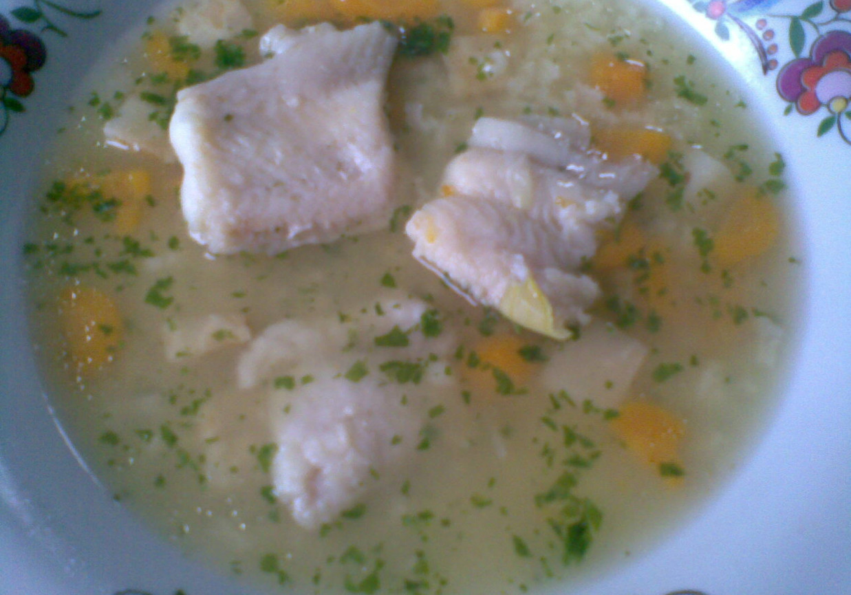 zupa rybna foto