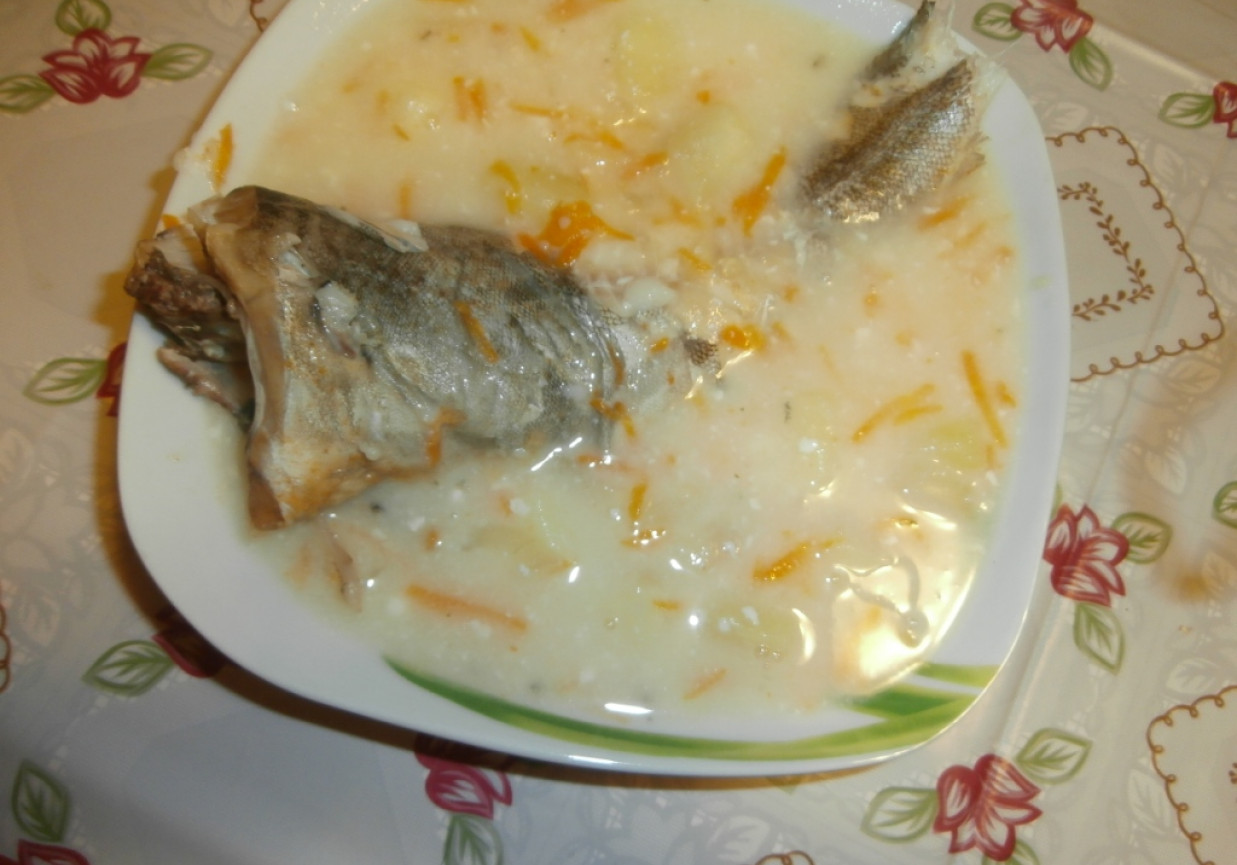 zupa rybna foto