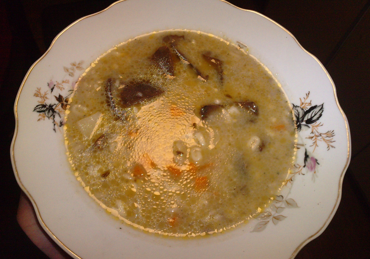 Zupa rydzowa foto