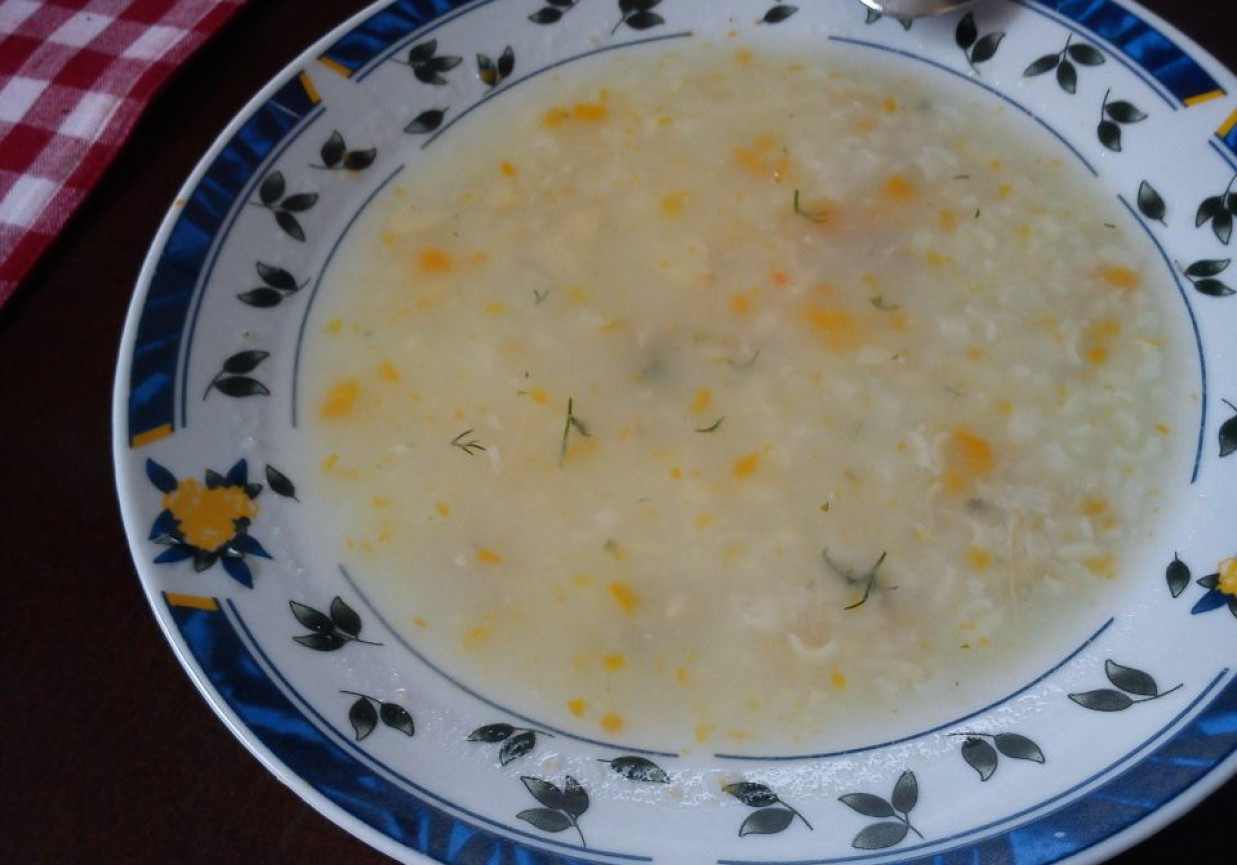 zupa ryzowa Iruni foto