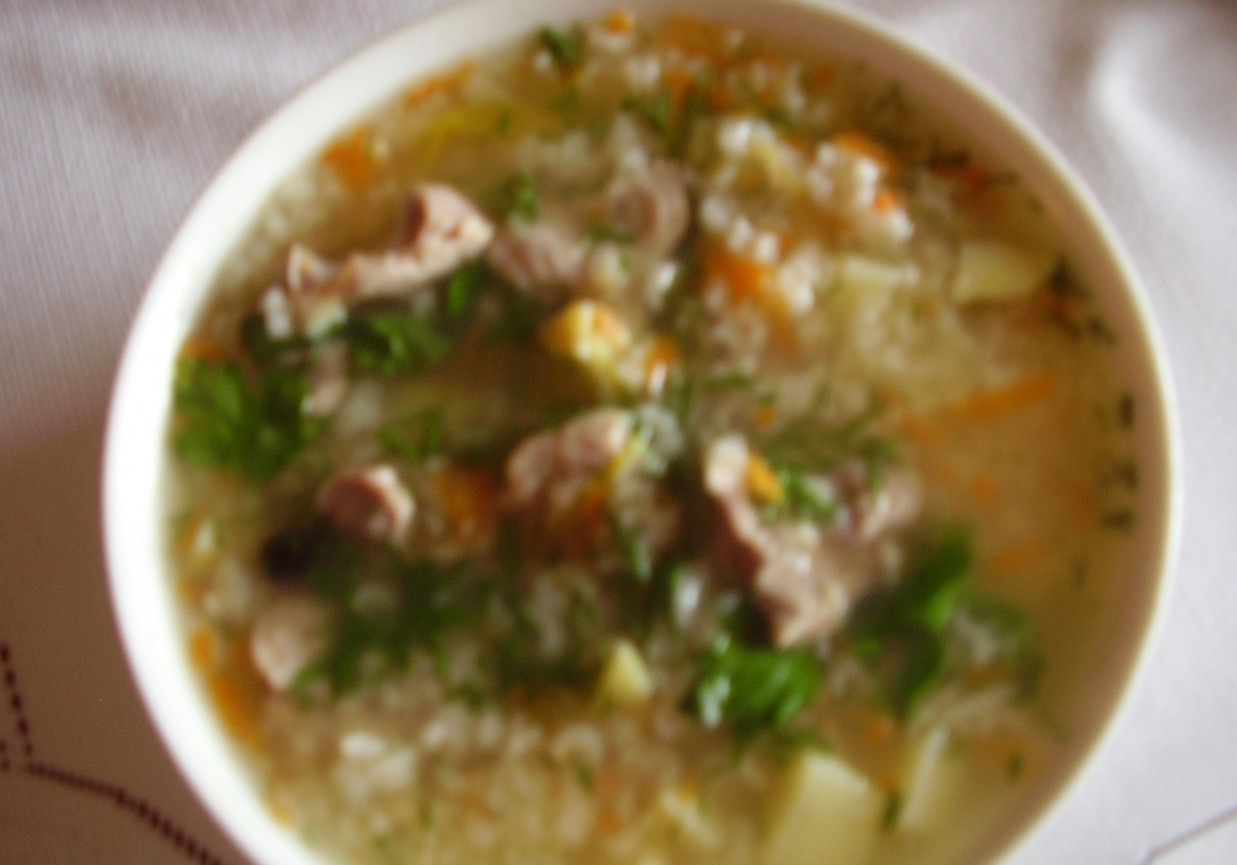 Zupa ryżowa na żołądkach drobiowych foto