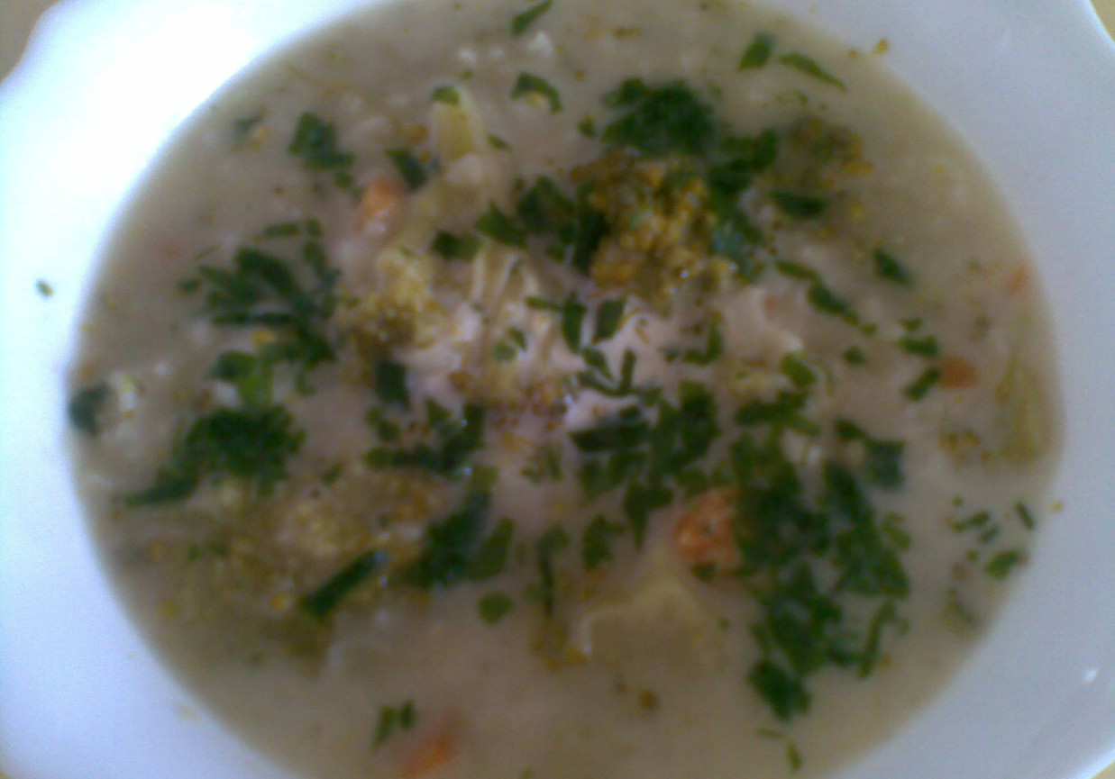 zupa ryżowa z brokułami foto