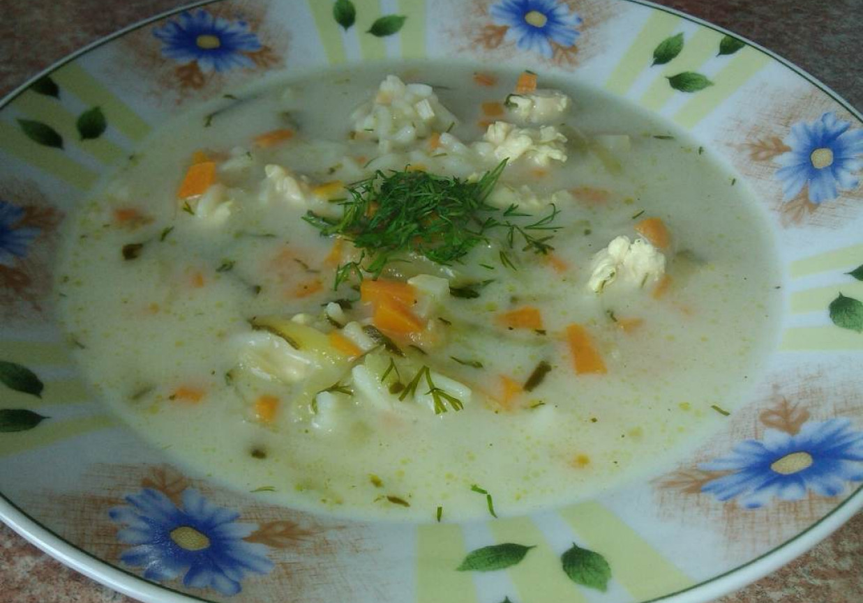 Zupa ryżowa z ogórkiem konserwowym foto