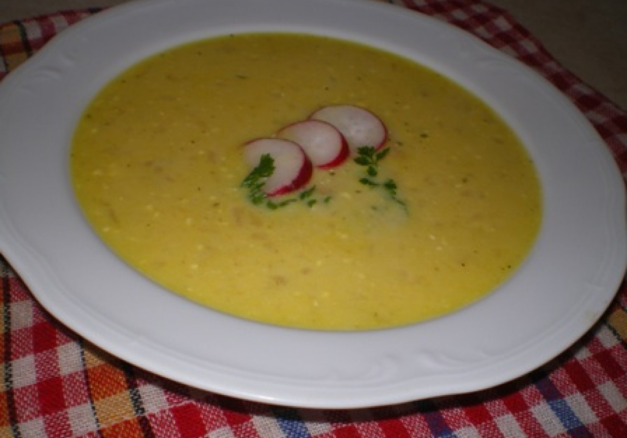 Zupa rzodkiewkowo-serowa foto