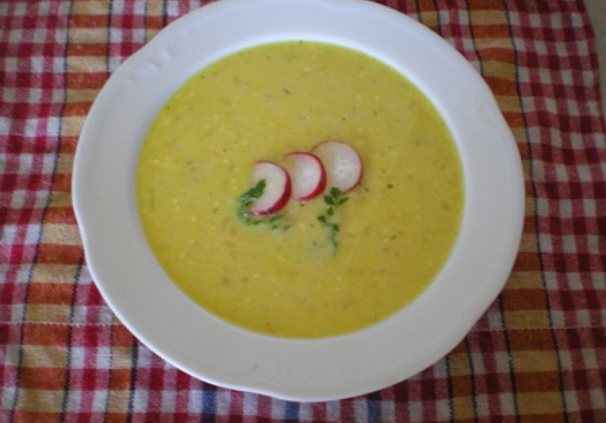 Zupa rzodkiewkowo-serowa foto