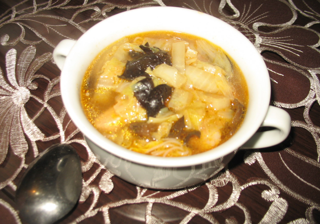 Zupa seczuańska foto