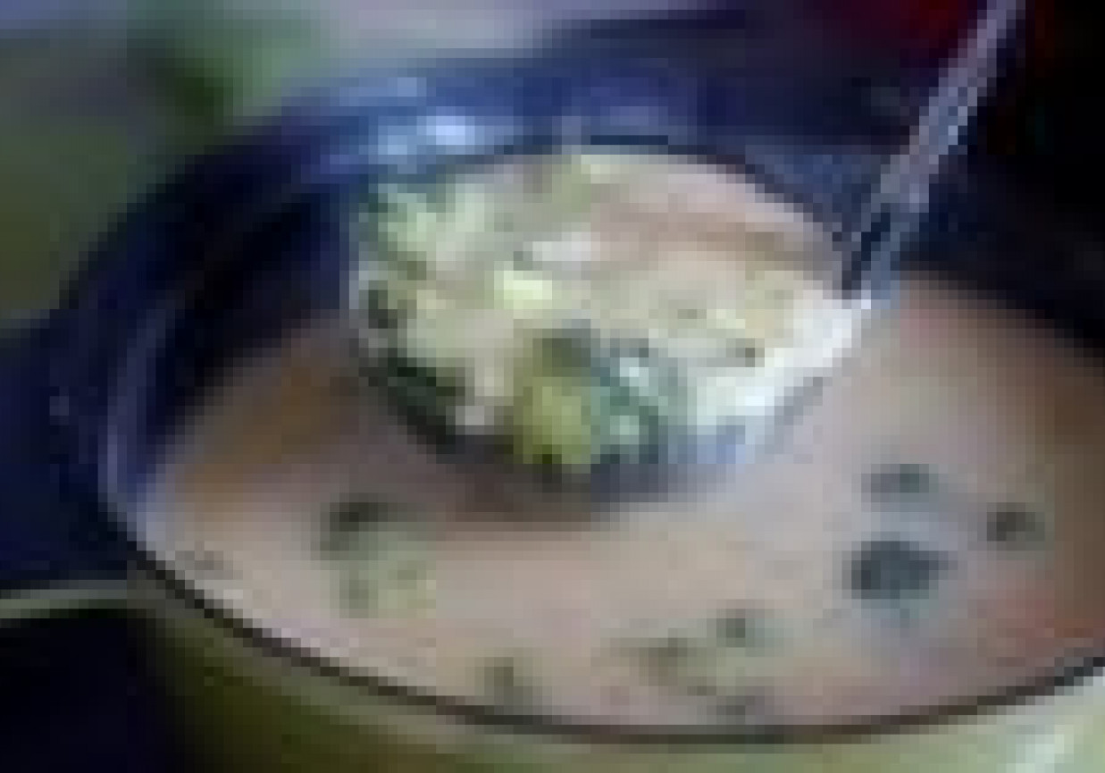 Zupa serowa z brokułami foto