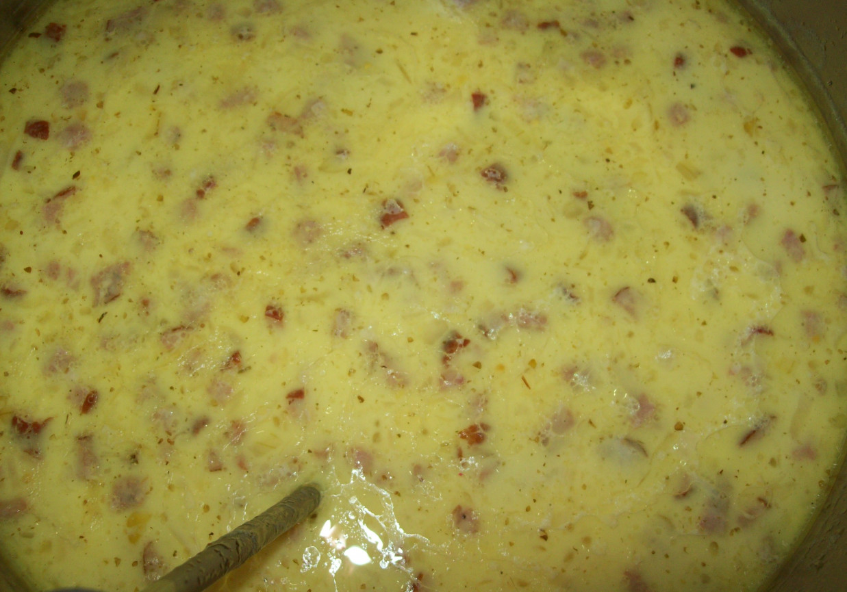 Zupa serowa z grzankami i kiełbasą  foto