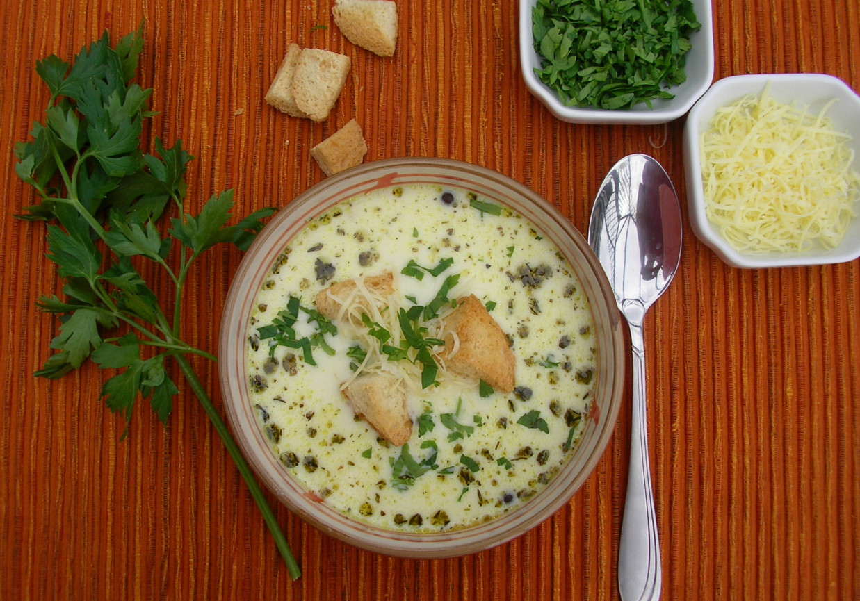 Zupa serowa z natką i grzankami foto