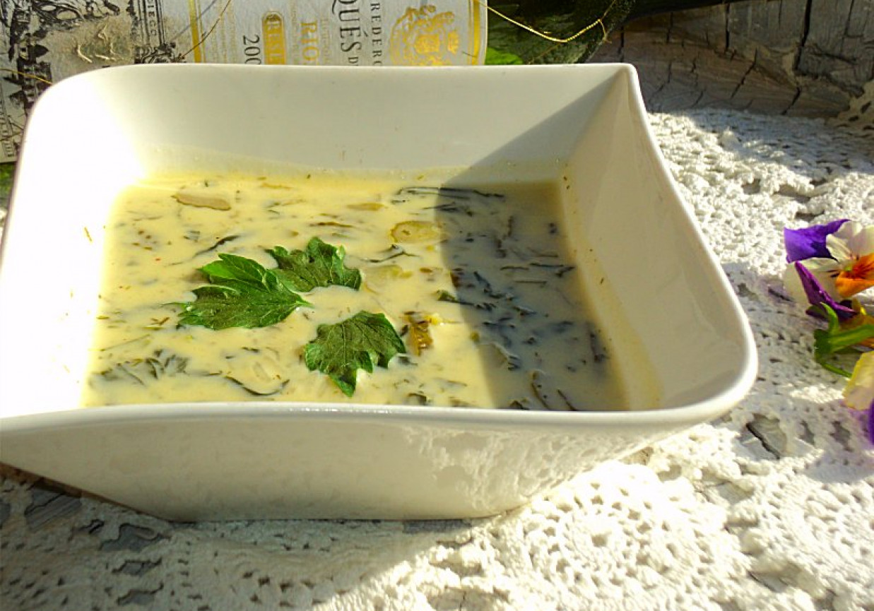 Zupa serowa z ogórkami i szpinakiem foto