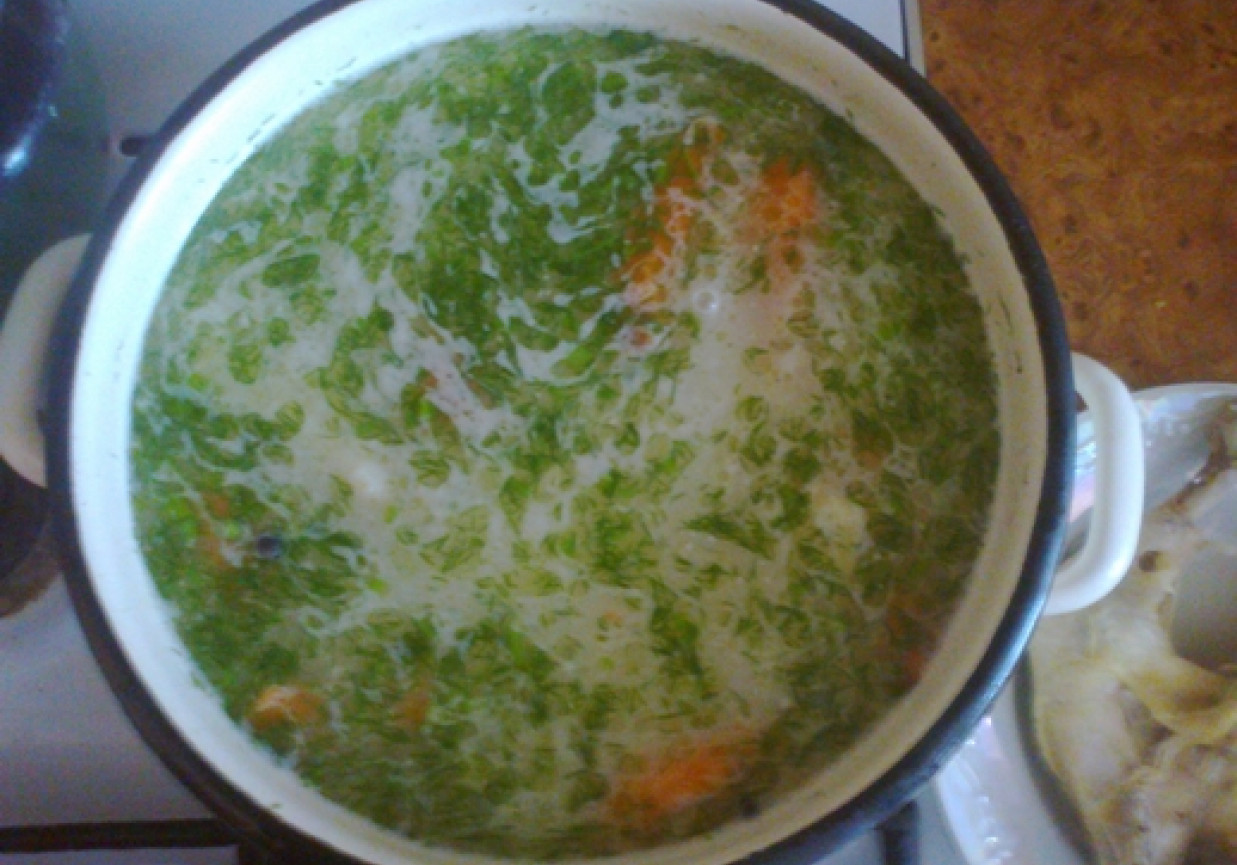 "zupa serowa z pieczarkami" foto