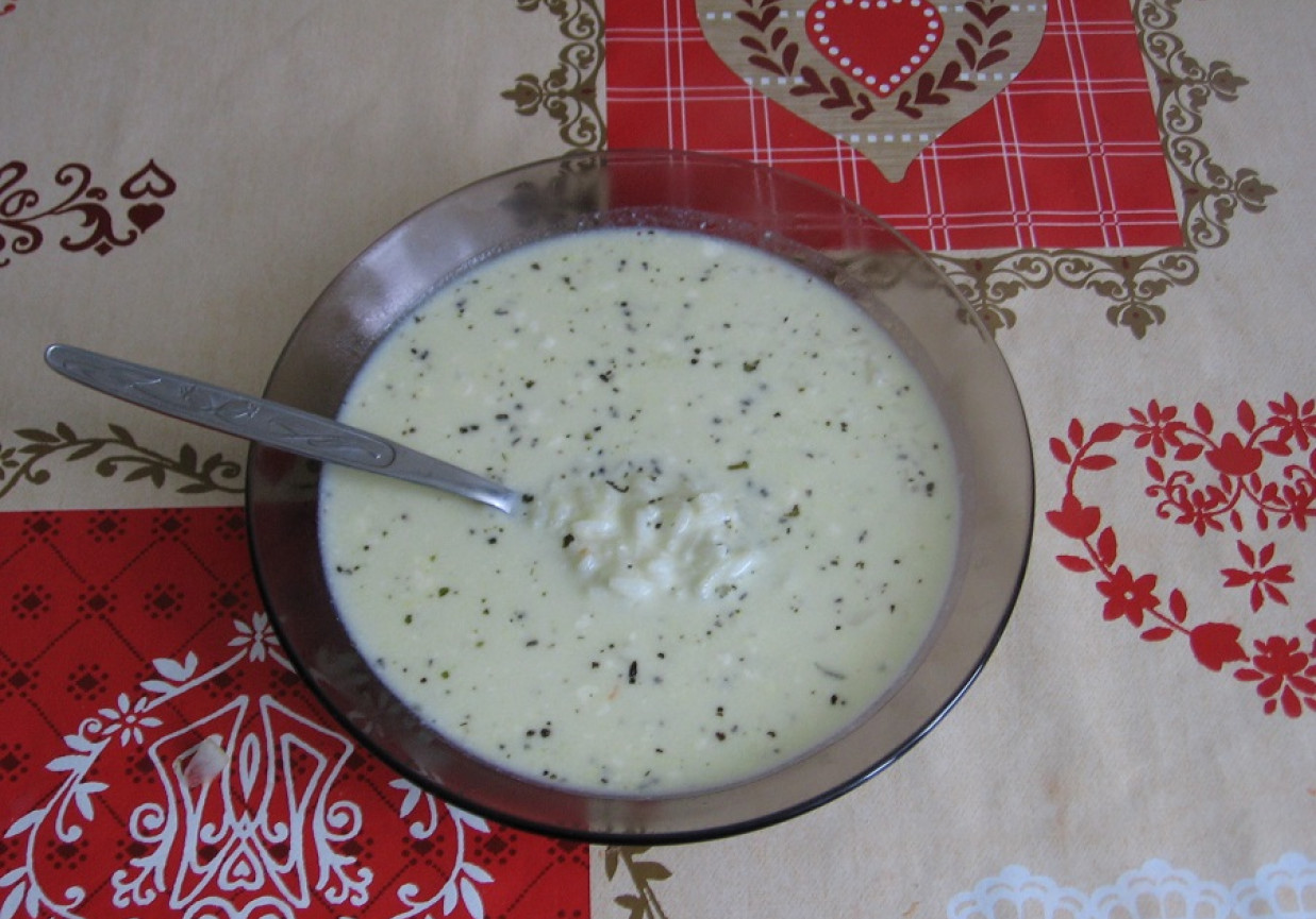 Zupa serowa z ryżem i ziołami prowansalskimi foto