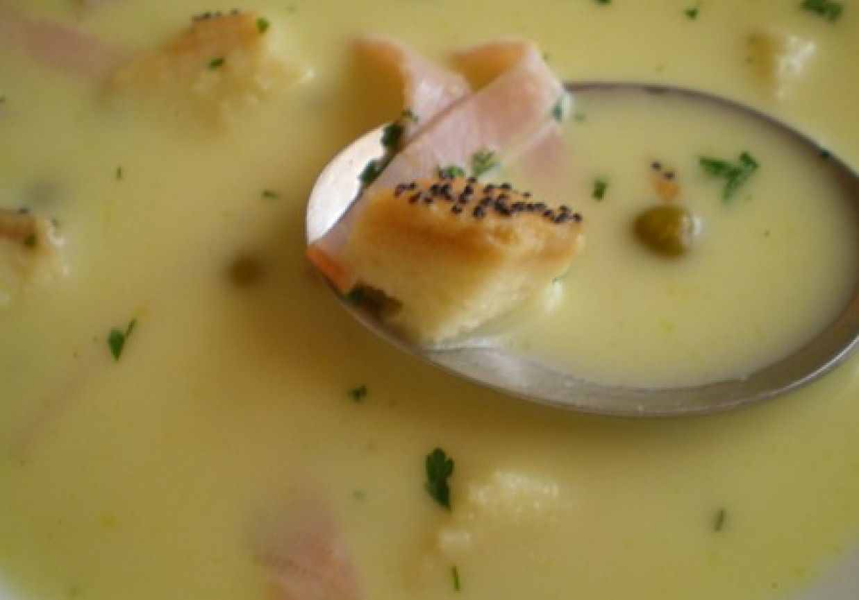 Zupa serowa z szynką i grzankami foto