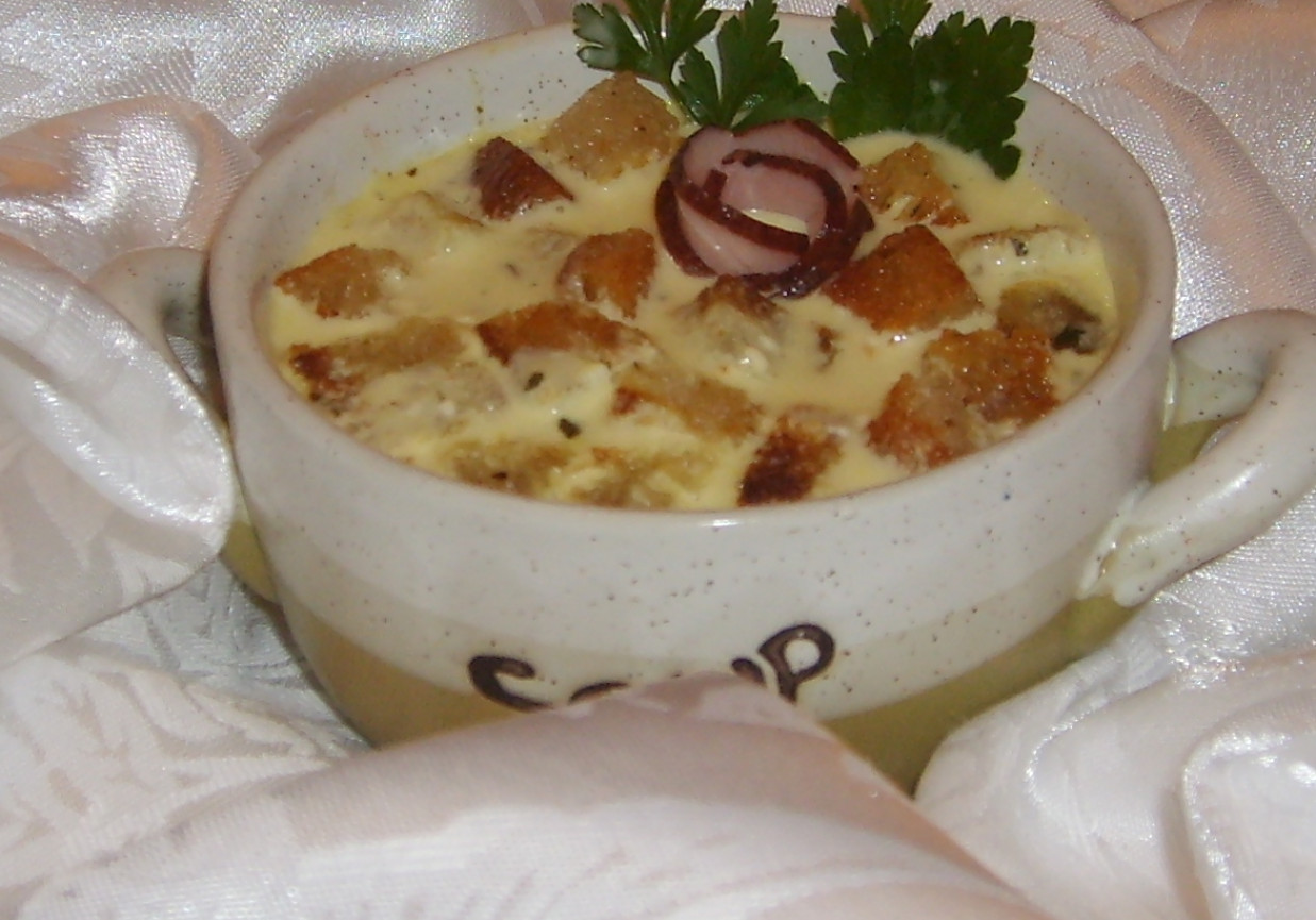 Zupa serowa z winem foto