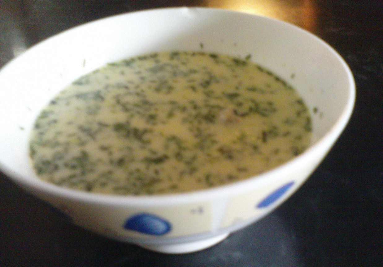 Zupa serowa foto