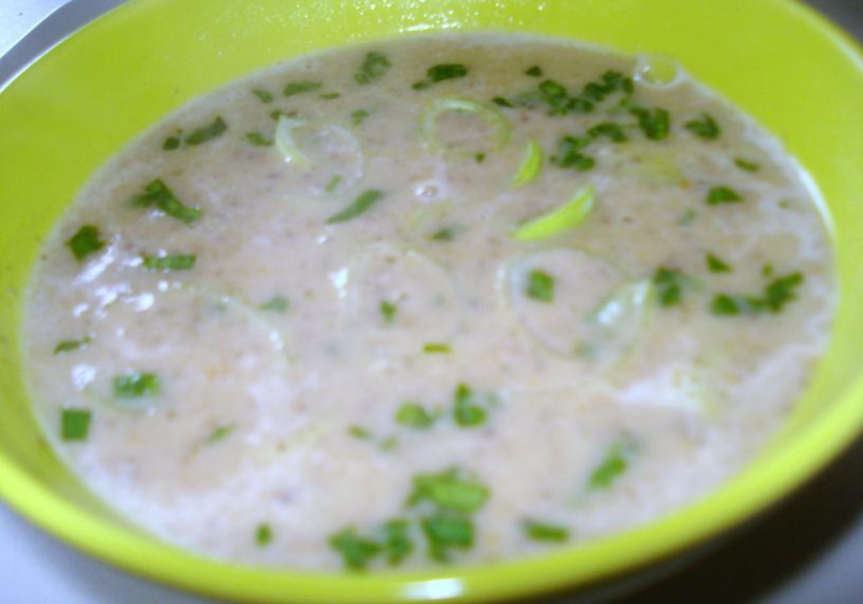 Zupa serowo- porowa z pieczarkami foto