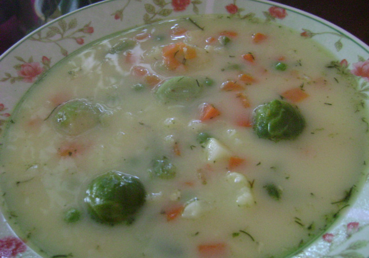 Zupa serowo-jarzynowa foto