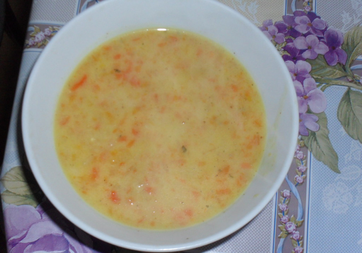zupa serowo-marchewkowa foto