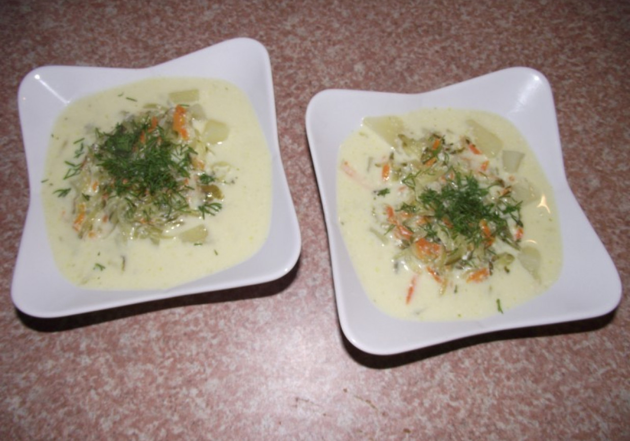 Zupa serowo-ogórkowa z ziemniakami foto