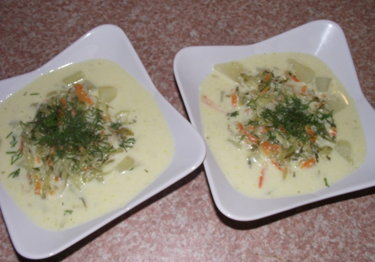 Zupa serowo-ogórkowa z ziemniakami foto