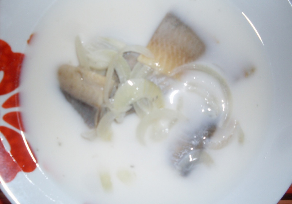 Zupa śledziowa na zimno foto