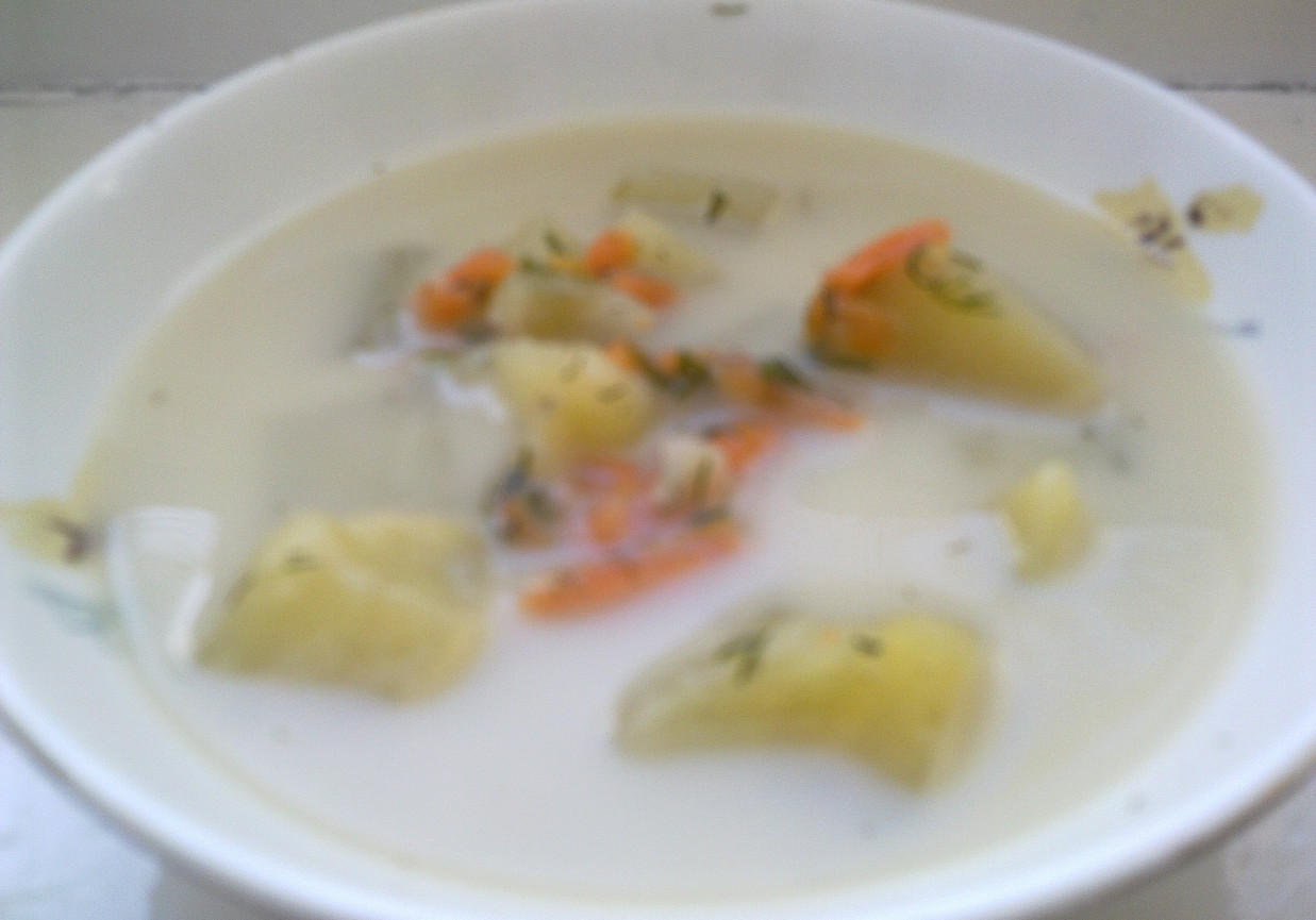 Zupa śmietanowo- koperkowa foto