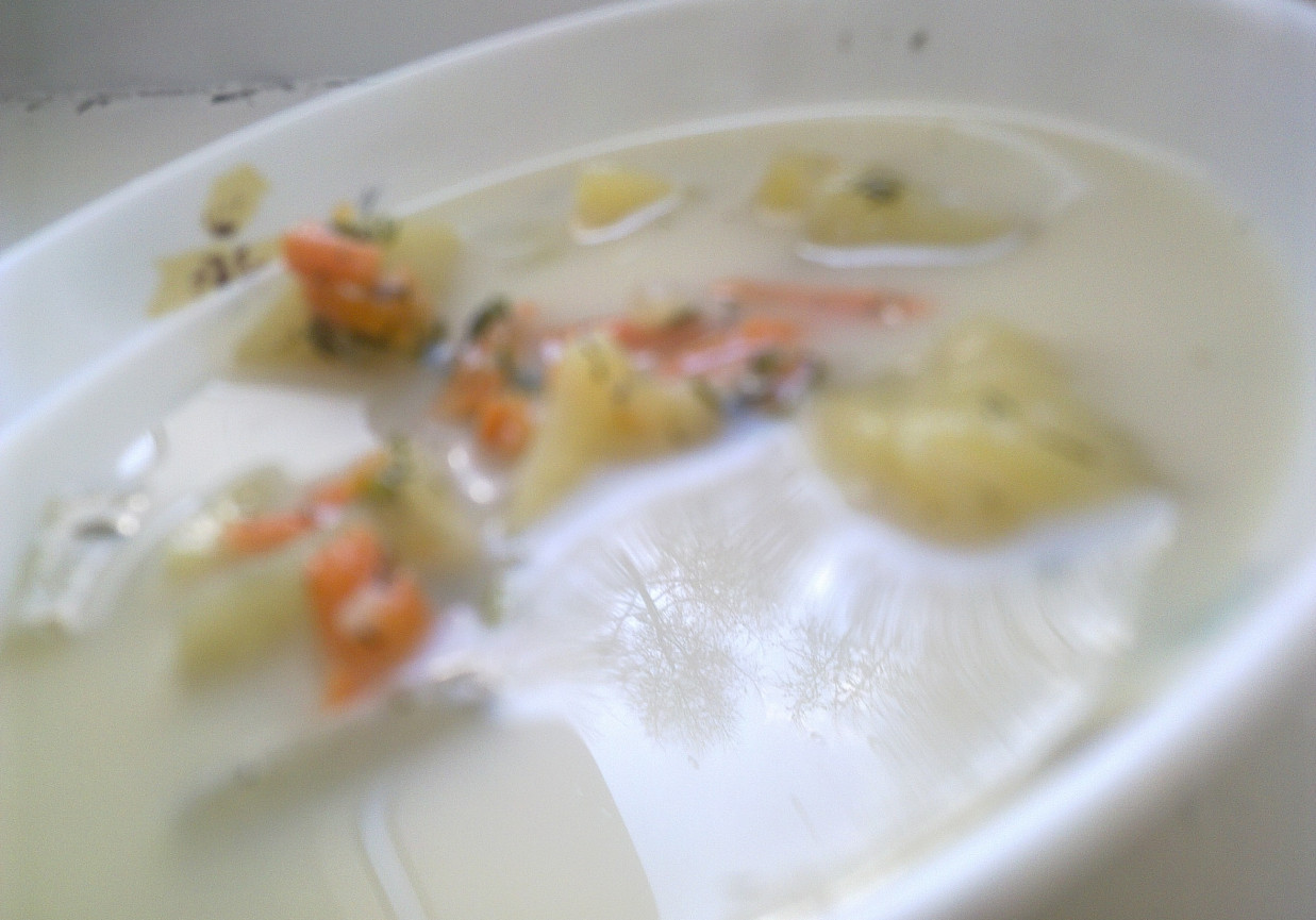 Zupa śmietanowo- koperkowa foto