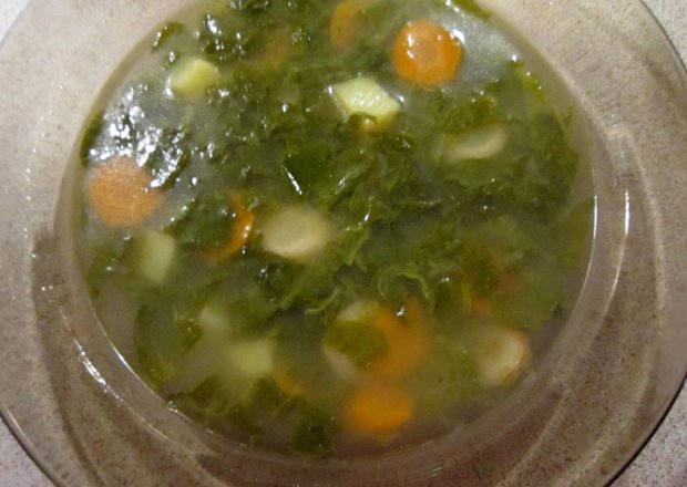 Fotografia przedstawiająca zupa szczawiowa czysta