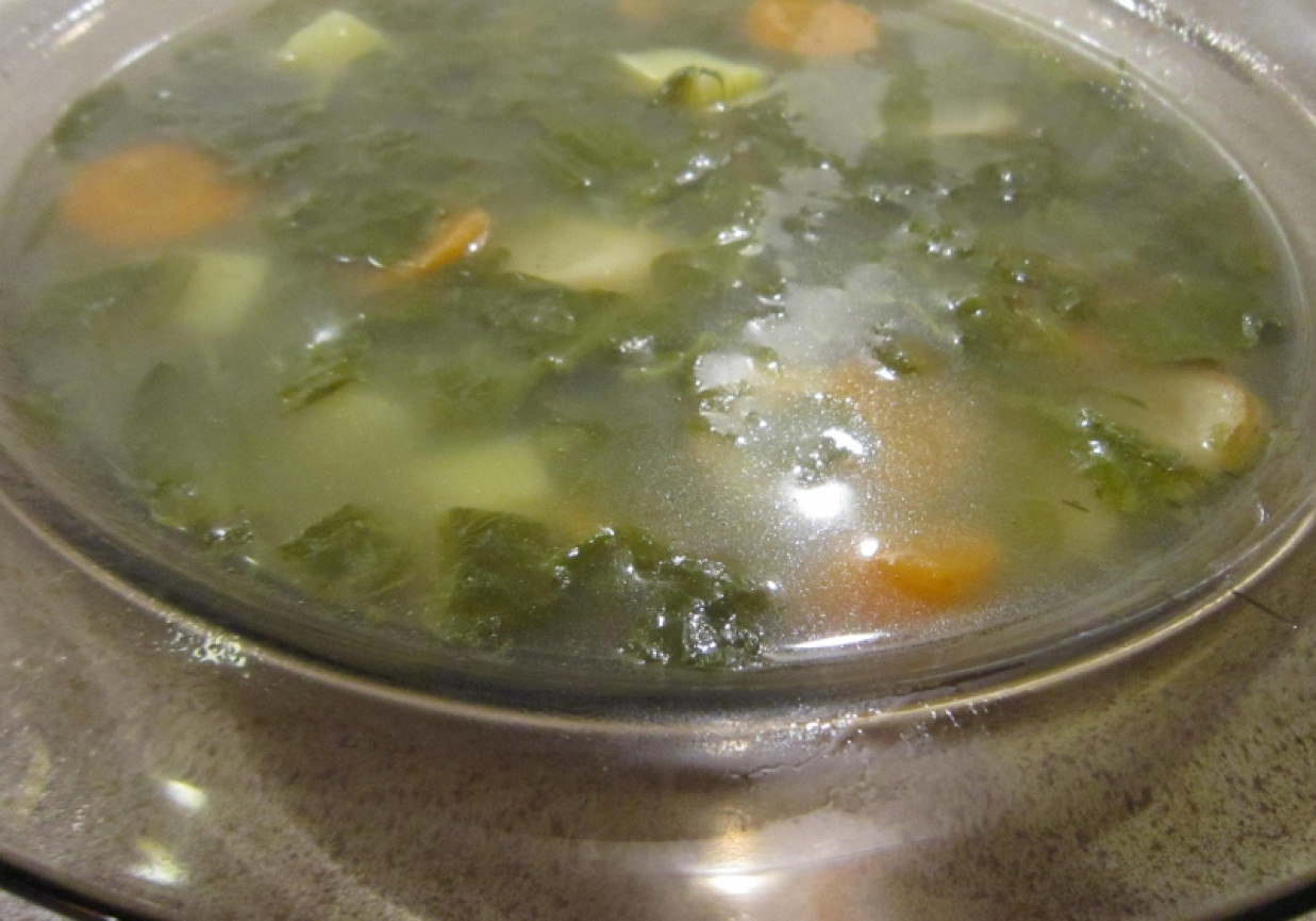 zupa szczawiowa czysta foto
