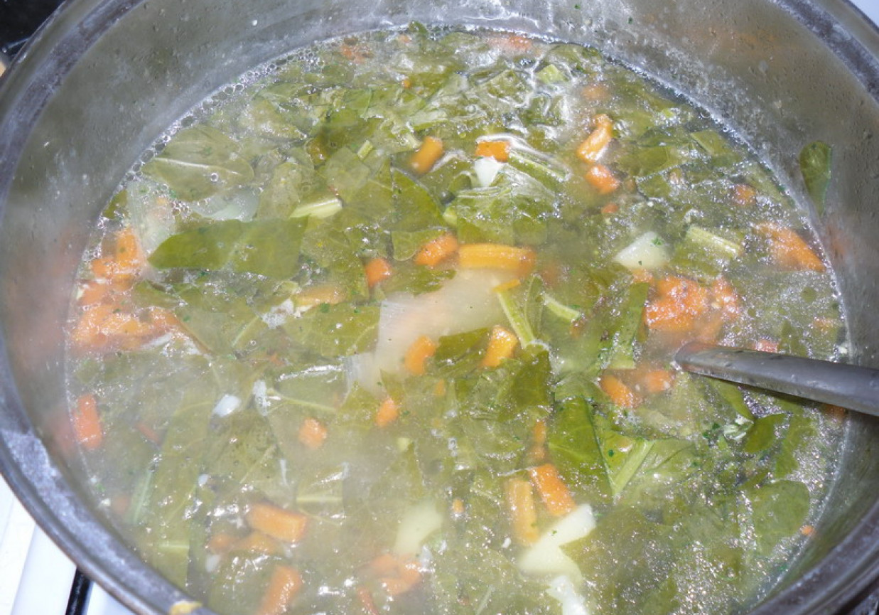 zupa szczawiowa II foto