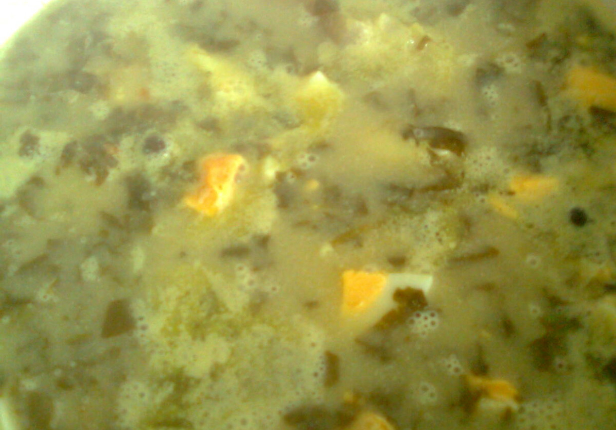 Zupa szczawiowa na ogonach foto