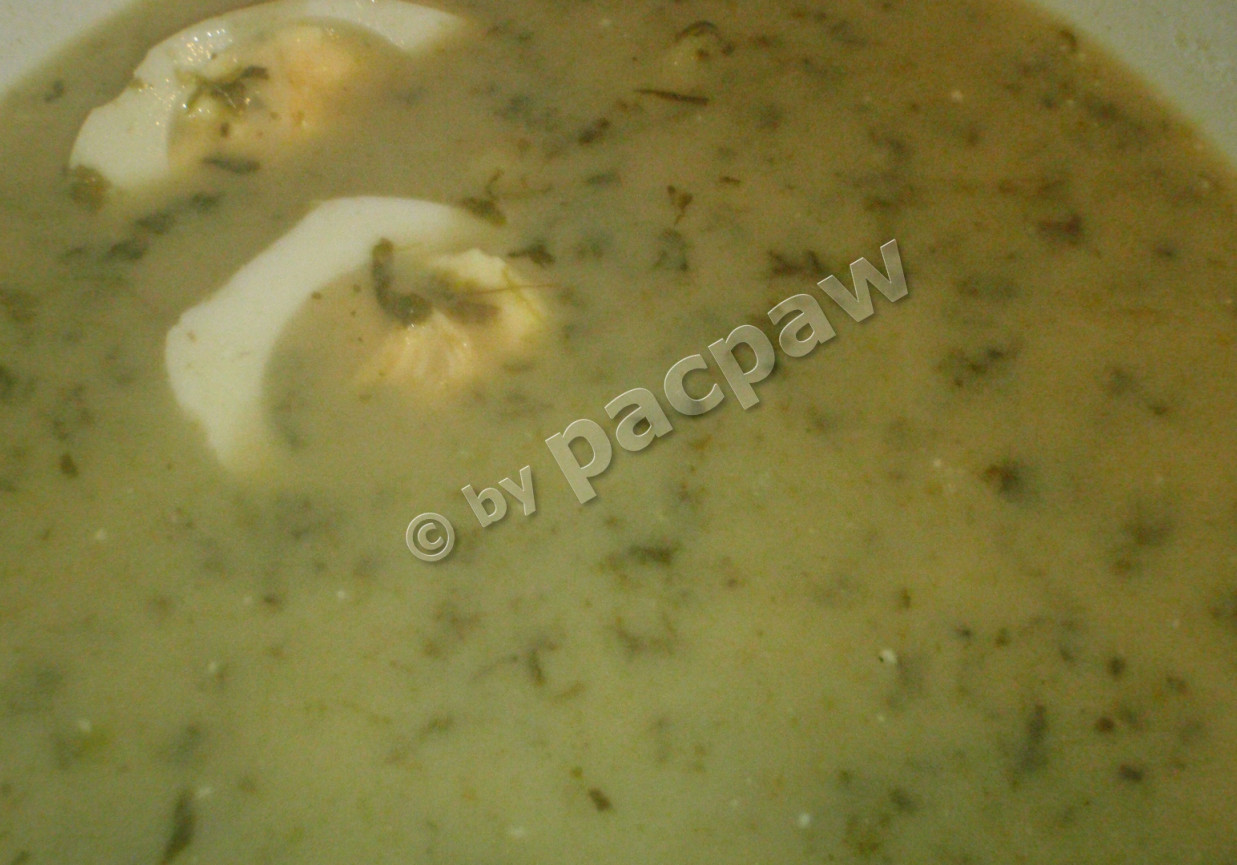 Zupa szczawiowa na rosole drobiowym foto