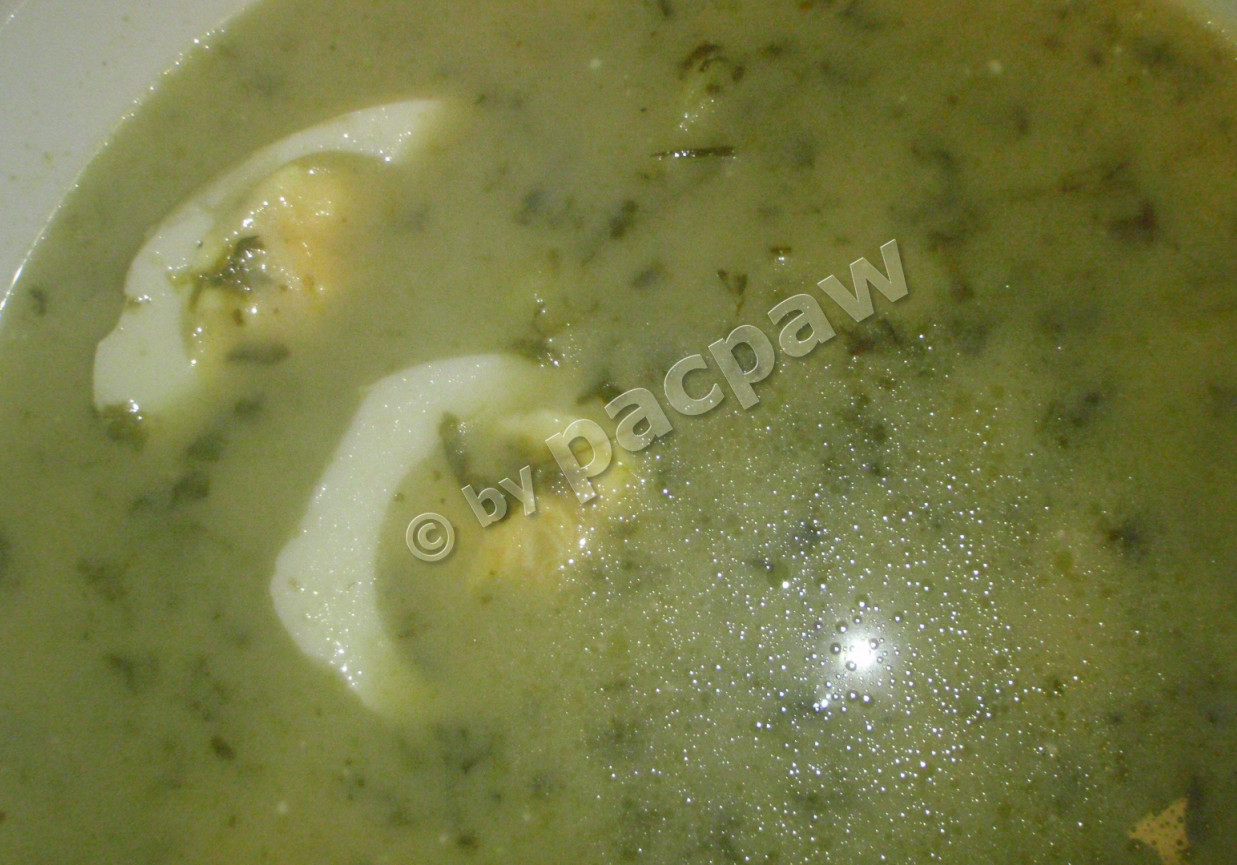 Zupa szczawiowa na rosole drobiowym foto
