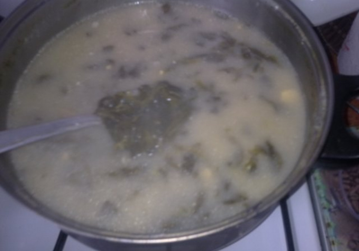 Zupa szczawiowa na rosole foto
