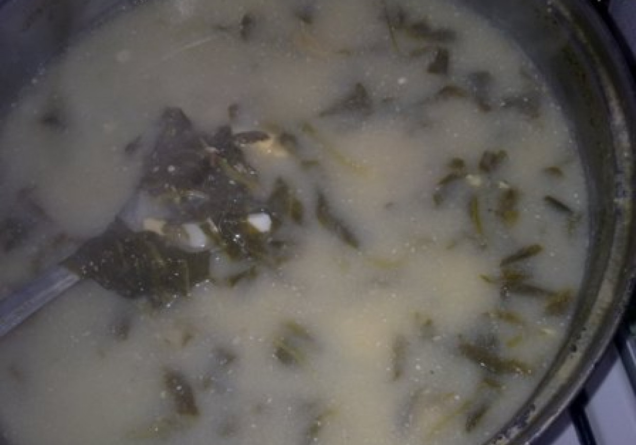 Zupa szczawiowa na rosole foto